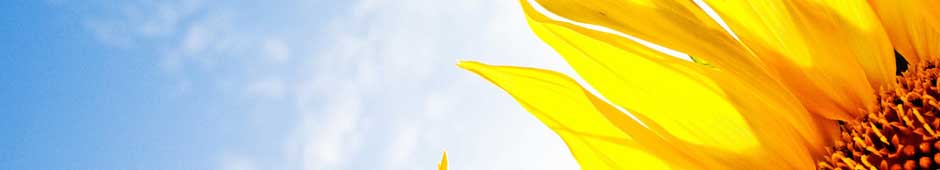 Banner speciale "settimana della donna"
